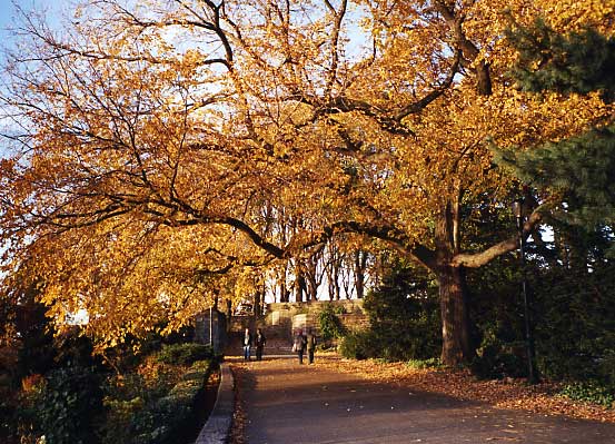 Autumn in Fort Tryon Park, New York, USA