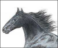 Black Horse Tribute (detail)
