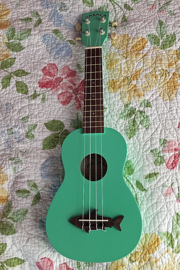 Ukulele from Mystic, Connecticut, USA